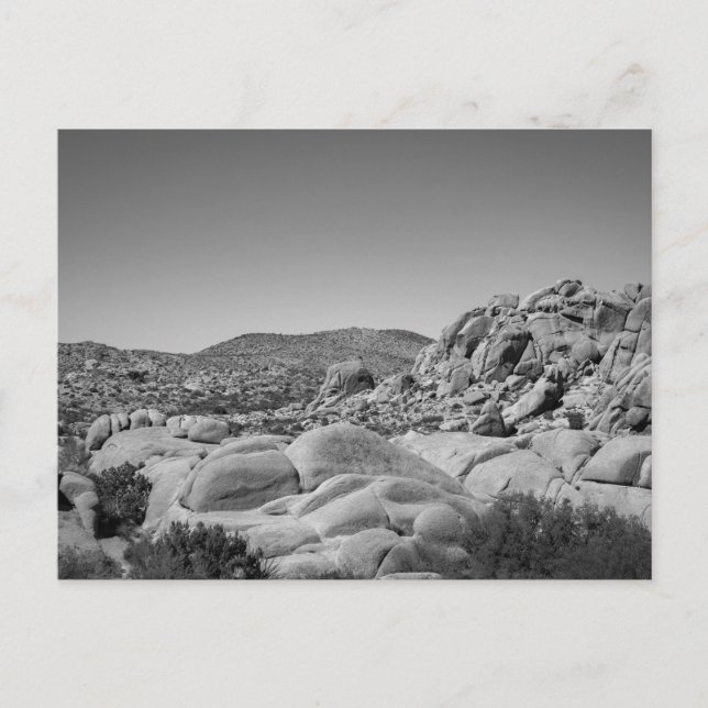 Joshua Tree Rocky Landscape - Photography Postcard (Front)