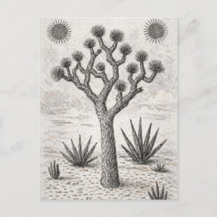 joshua tree sketch desert sketch art holiday postcard