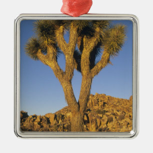 Joshua Tree, Yucca brevifolia), and granite Metal Tree Decoration
