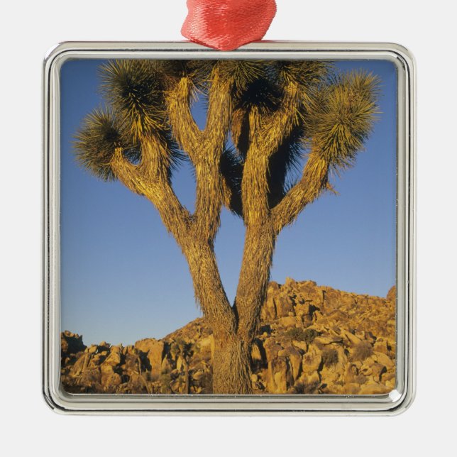 Joshua Tree, Yucca brevifolia), and granite Metal Tree Decoration (Front)