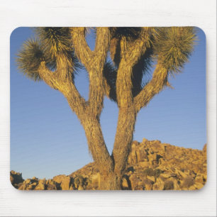 Joshua Tree, Yucca brevifolia), and granite Mouse Mat