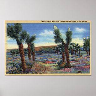 Joshua Trees and Desert Wild Flowers View Poster