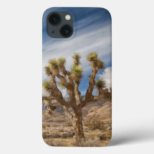 Joshua Trees in Desert iPhone 13 Case