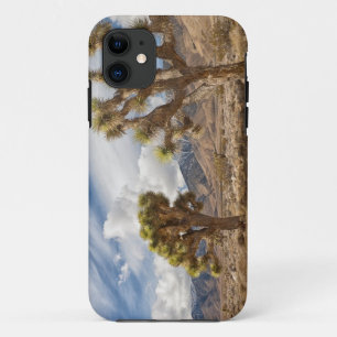 Joshua Trees in Desert iPhone 11 Case