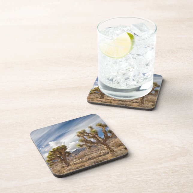 Joshua Trees in Desert Coaster (Right Side)