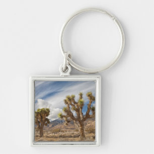 Joshua Trees in Desert Key Ring