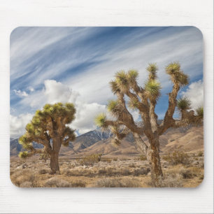 Joshua Trees in Desert Mouse Mat