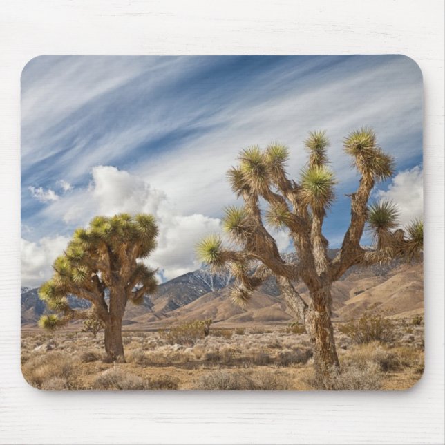 Joshua Trees in Desert Mouse Mat (Front)