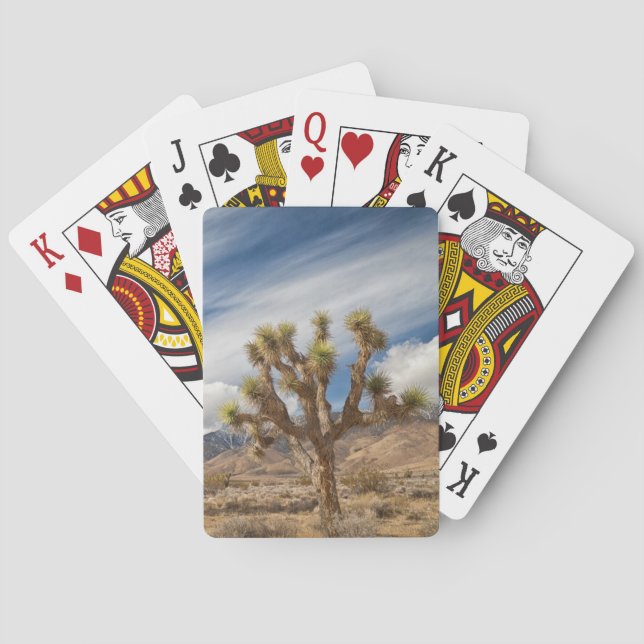 Joshua Trees in Desert Playing Cards (Back)