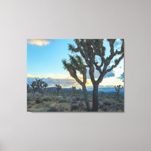 Joshua Trees Landscape at Sunset Canvas Print