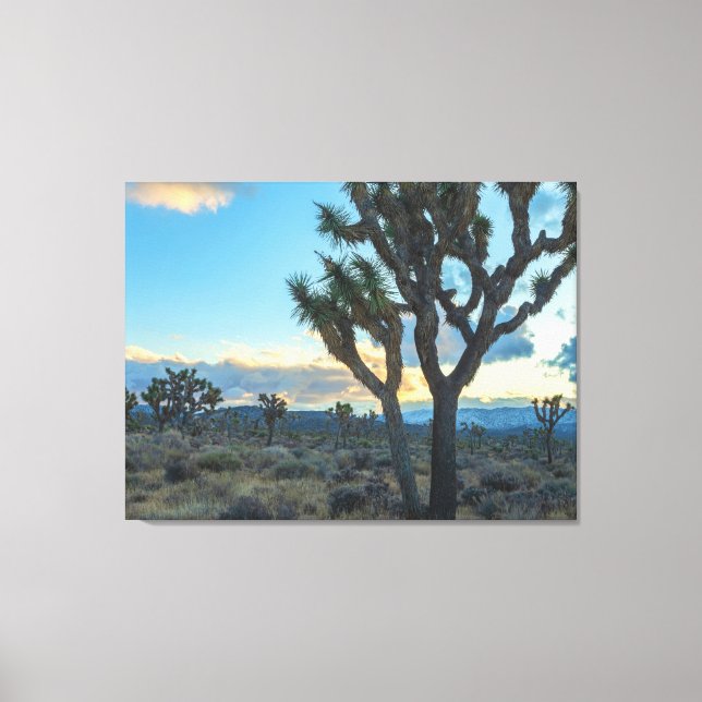Joshua Trees Landscape at Sunset Canvas Print (Front)