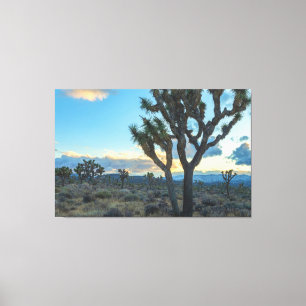 Joshua Trees Landscape at Sunset Canvas Print