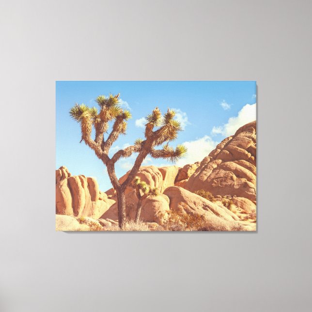 Joshua Trees Landscape with Rock Formations  Canvas Print (Front)
