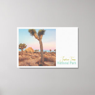 Joshua Trees National Park Canvas Print