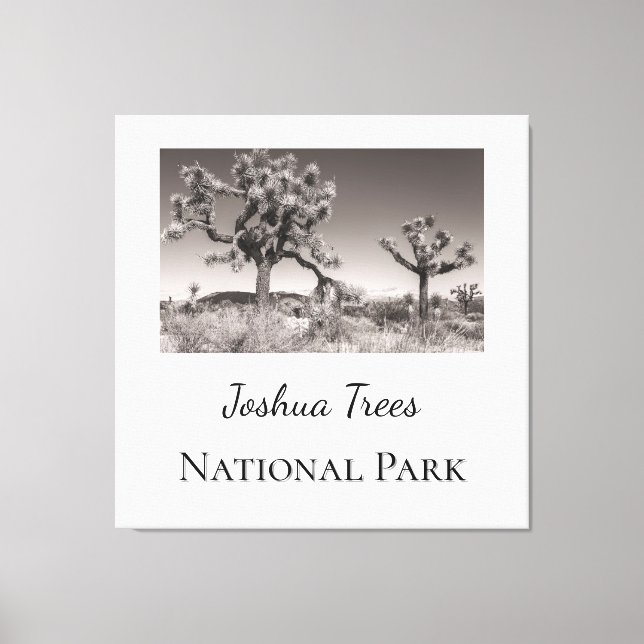 Joshua Trees National Park Canvas Print (Front)