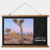 Joshua Trees National Park