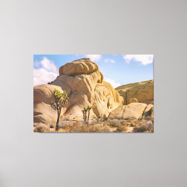 Joshua Trees National Park Landscape Canvas Print (Front)