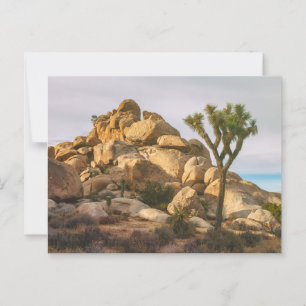 Joshua Trees National Park Landscape Postcard