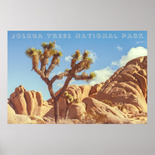 Joshua Trees National Park Landscape Scenery Poster