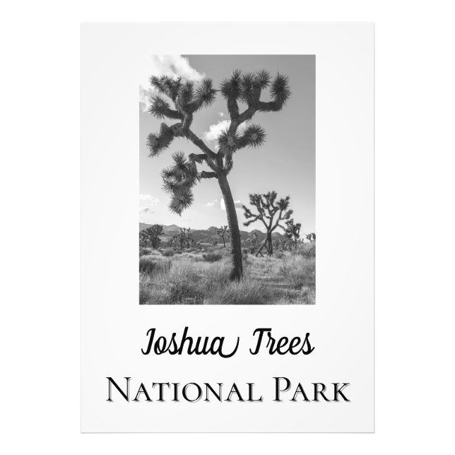 Joshua Trees National Park Photo Print (Front)