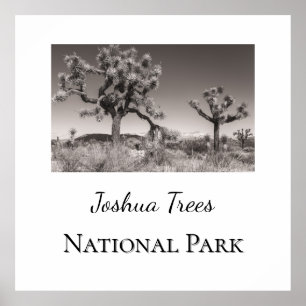 Joshua Trees National Park Poster