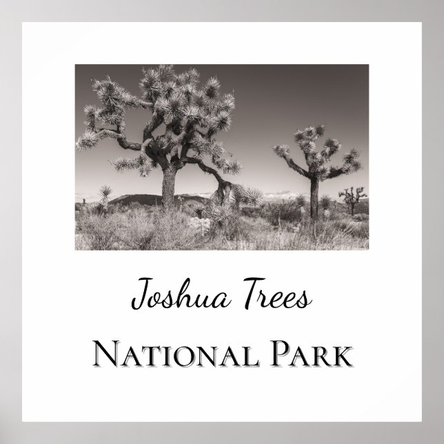 Joshua Trees National Park Poster (Front)