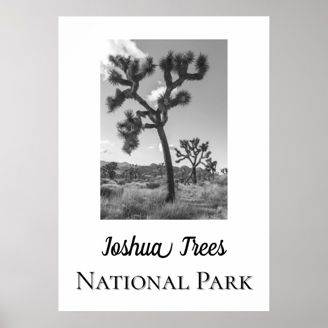 Joshua Trees National Park Poster (Front)