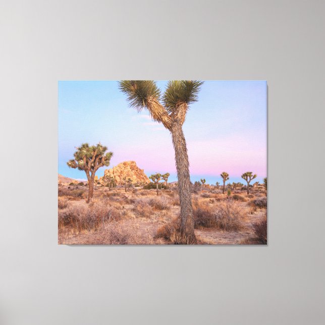 Joshua Trees Sunrise Canvas Print (Front)