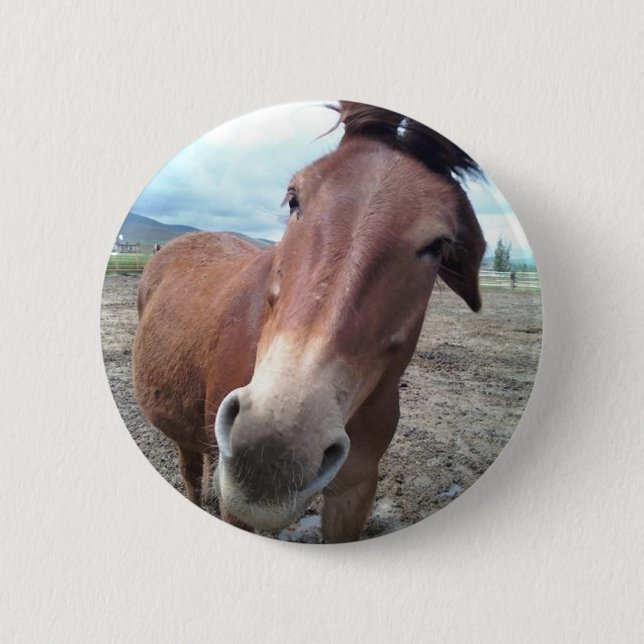 Josie, the funny mule 6 cm round badge (Front)