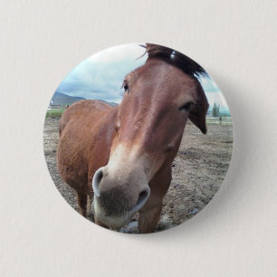 Josie, the funny mule 6 cm round badge