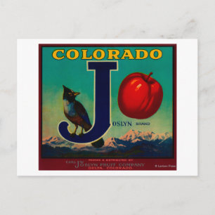 Joslyn Apple Crate Label Postcard