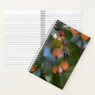 Journal - Autumn