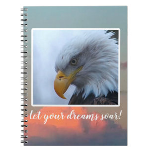 Journal: Let your dreams soar! Notebook