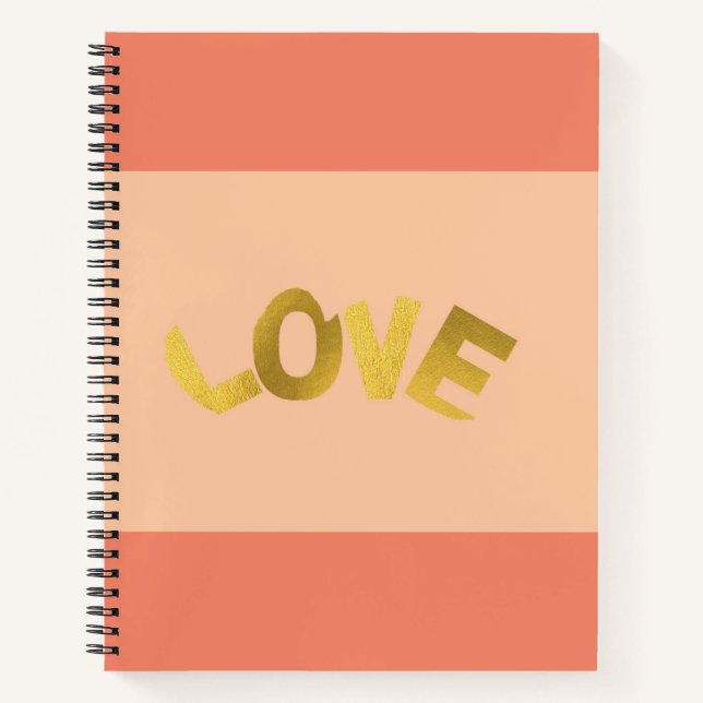 Journal notebook (Front)