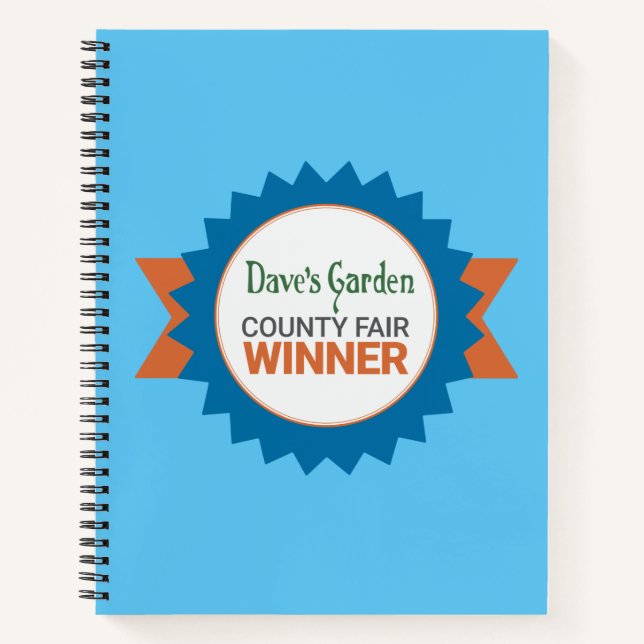 Journal notebook for our on line county fair winne (Front)