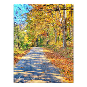 Journey Ahead Photo Print