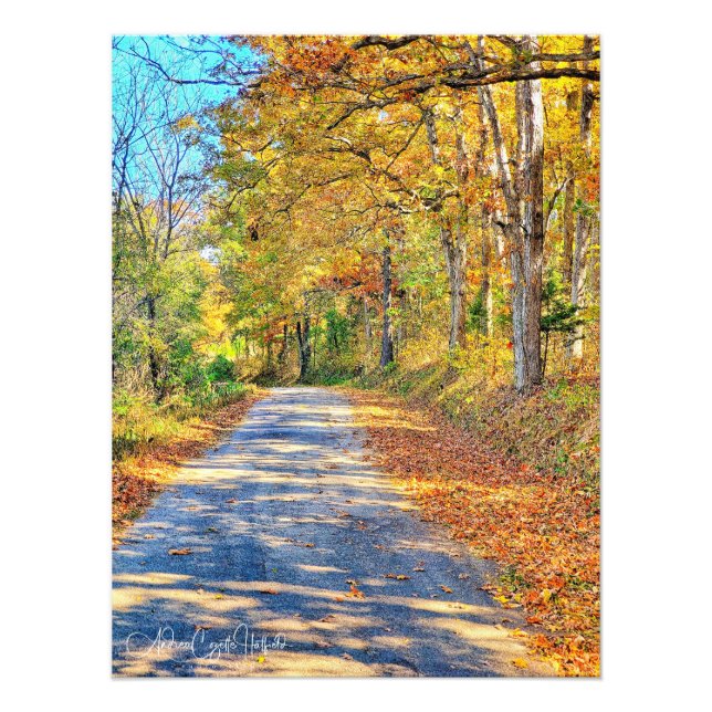 Journey Ahead Photo Print (Front)