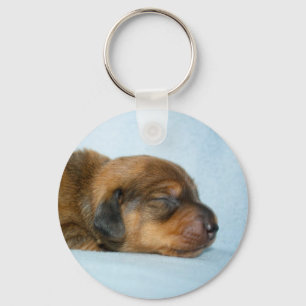 Jovi 1 wk-Lovebugdoxies Key Ring