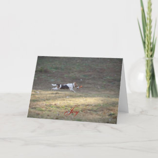 Joy - 2012 holiday card