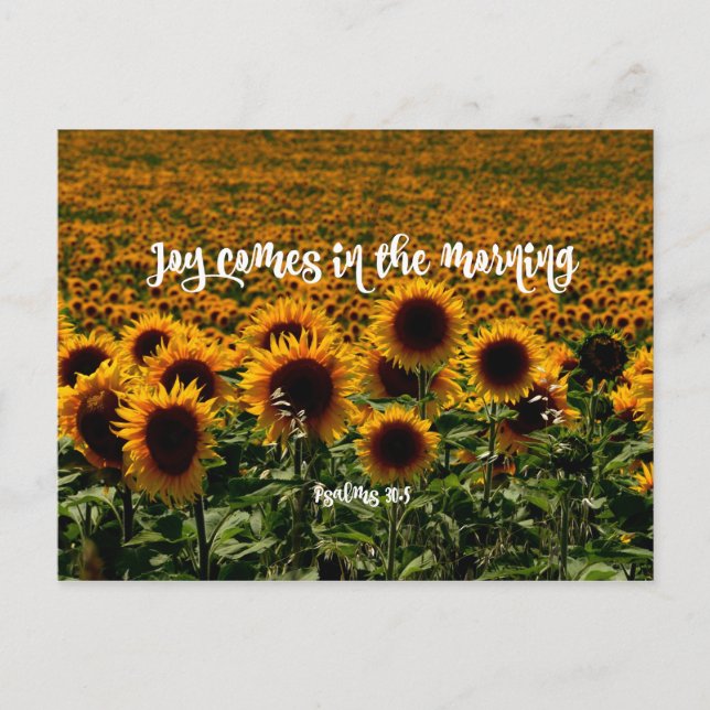 Joy comes in the Morning Verse Postcard (Front)