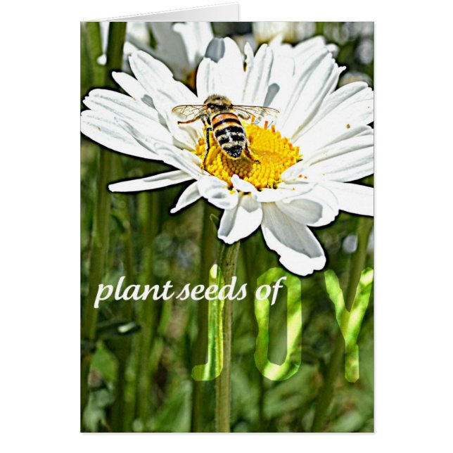 Joy Daisy Card (Front)