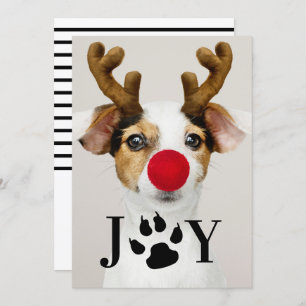 Joy Dog Paw Print Christmas Photo Card