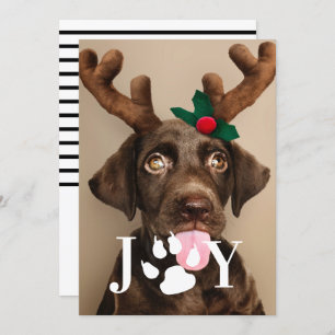 Joy Dog Paw Print Christmas Photo Card