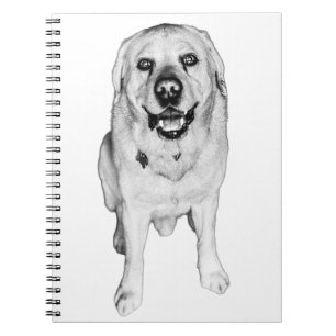 Joy in Every Line Notebook