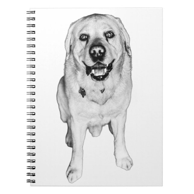 Joy in Every Line Notebook (Front)