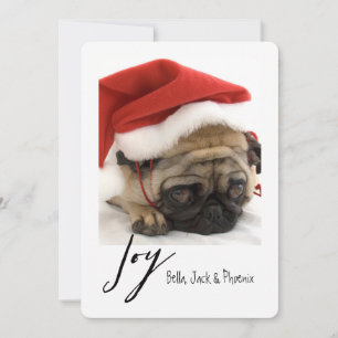 Joy Modern Pet Holiday Card