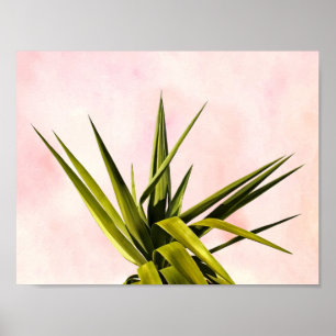 Joy of Dreams Poster