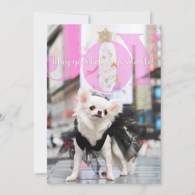 JOY Pet Holiday Card (Front)