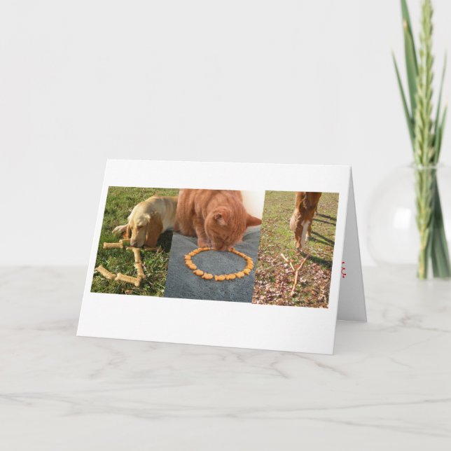JOY pets Holiday Card (Front)