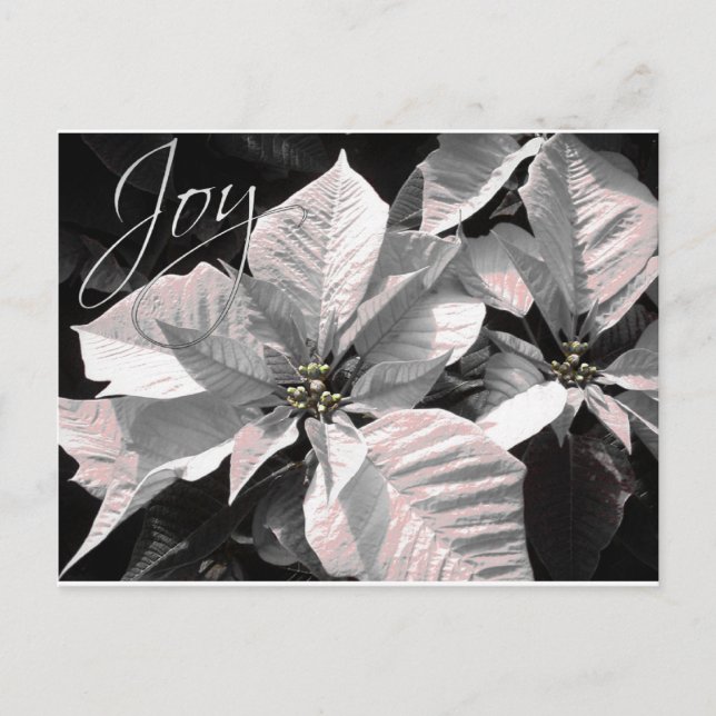 Joy Postcard (Front)